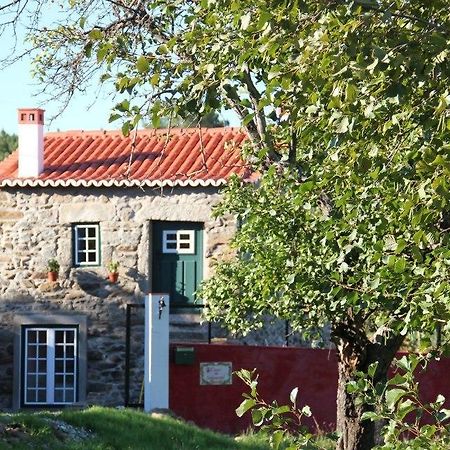 فيلا Casa Do Salgueiral فوندَوْ المظهر الخارجي الصورة